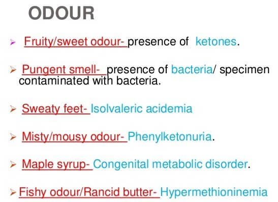 What are the possible reasons for having smelly urine?