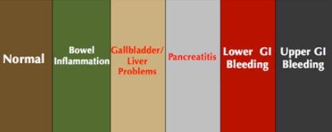 fecal colors related to diseases or organ condition