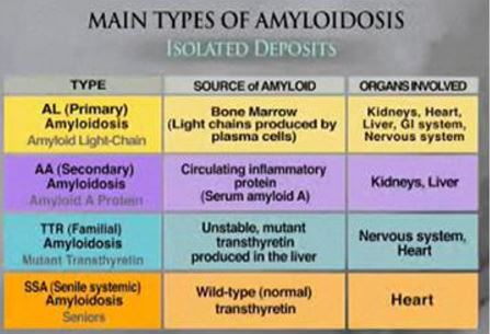 Amyloidosis Types