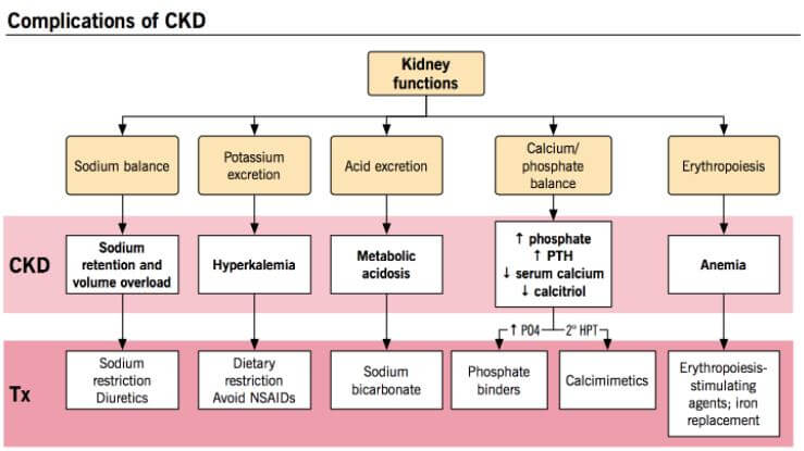 CKD Chronic Kidney Disease Complications