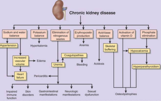 Chronic Kidney Disease Symptoms Signs Effects