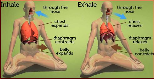 Diaphragmatic-Breathing-Technique
