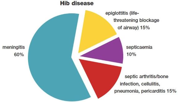 hib disease